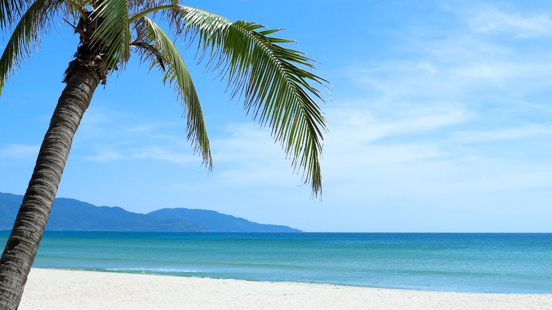 Tropical Beach Palm Trees on a Island, Ocean Sounds, Ocean Waves, White Noise for