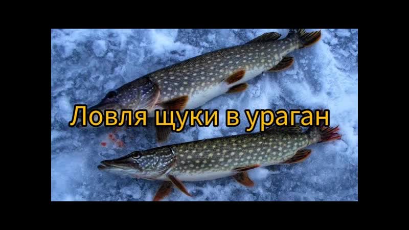Мокрая с ГОЛОВЫ до НОГ, ЛОВЛЮ РЫБУ в УРАГАН, да же телефон не