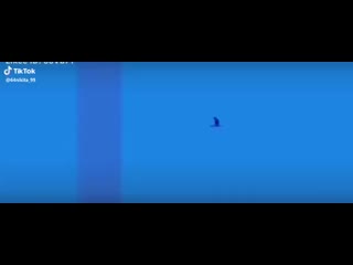 Video frn BULAVA OFFICIAL GROUP