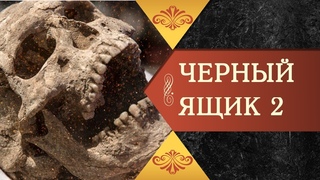 черный ящик книга воробьевский. эффект черного ящика книга. тайноведение с воробьевским. лениниада.