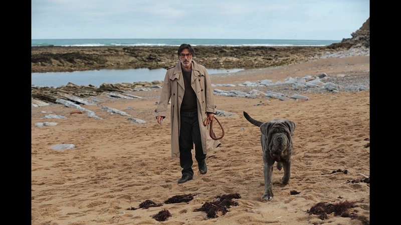 Моя собака Идиот, Mon chien stupide (2019) новый дублированный трейлер