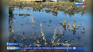 Прокуратура начала проверку поаварии наканализационных сетях Северного округа Архангельска