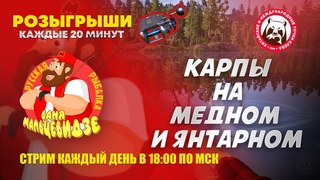 Разыграли уже 13 Рапторов и 14 Венг. Набор в команду Дети Мальцевидзе. Заходите в Дискорд.