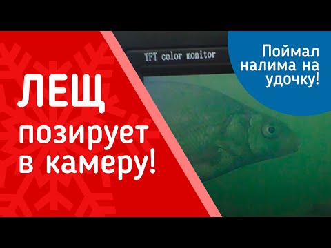 ЛЕЩ ПОЗИРУЕТ В КАМЕРУ Налим чуть не оборвал снасть. Зимняя