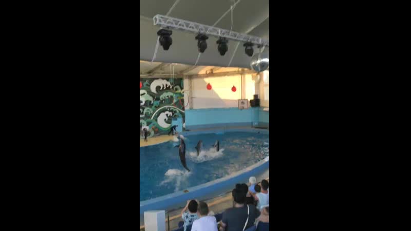VID_20200830_163039.mp4