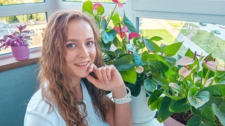 ВСЕ МОИ ПЫШНЫЕ АНТУРИУМЫ/ Как я за ними ухаживаю Мифы об антуриумах/ Можно ли пересаживать цветущие