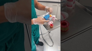 Наложение повязки на лапу собаки после частичной ампутации стопы / Places a bandage on a foot after partial foot amputation