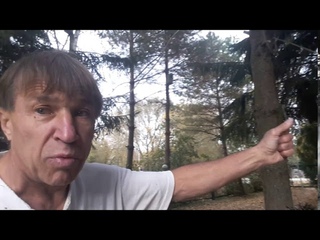 О чем молчат продавцы дренажных насосов