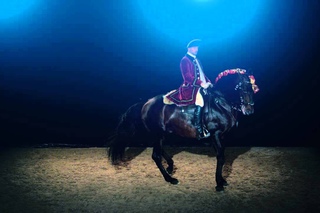 Escola Portuguesa de Arte Equestre em Belm - verso completa