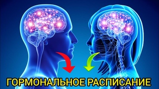 ГОРМОНАЛЬНОЕ расписание работы нашего организма!!!