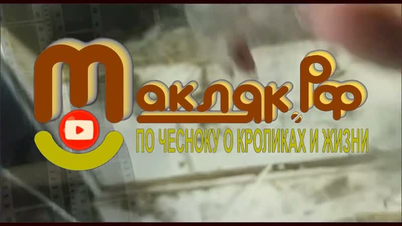 Нерадивая мамаша. Гибель крольчат. Что делать. ,Макляк,