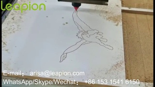 New design 1325E CNC Router engrave on Plywood