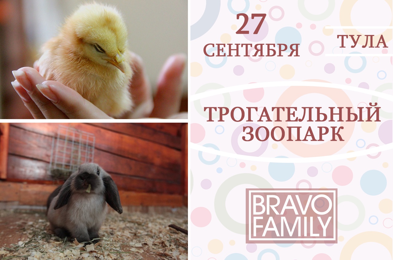 Афиша Тула СЧАСТЛИВЫЕ ДЕТИ В ТРОГАТЕЛЬНОМ ЗООПАРКЕ/ТУЛА