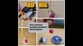 ПРОСТОЙ но ЭФФЕКТИВНЫЙ поводок.KD RIG #kdrig #carprigs