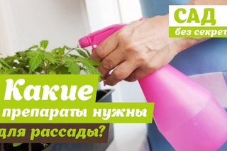 ПРОВЕРЕННАЯ ПОДКОРМКА ДЛЯ РАССАДЫ | Самые эффективные препараты для здорового роста рассады