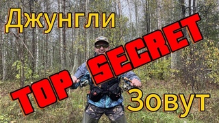 ФОРЕЛЬ, ХАРИУС  НА СПИННИНГ.  Закрытие речного сезона 2023. Прогулка по секретным местам!