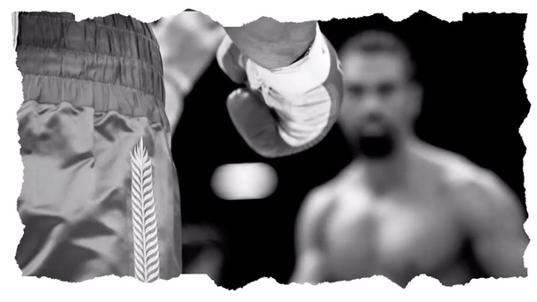 Wladimir Klitschko vs. David Haye FIGHT NIGHT
