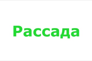 Сажаем рассаду по науке!