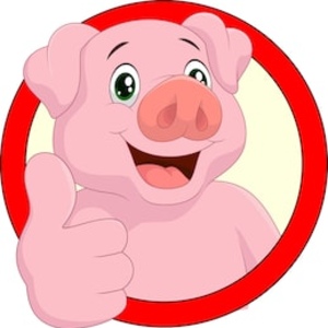 Pork_ttv - Twitch
