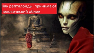 Как рептилоиды принимают человеческий облик.