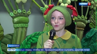 На сцене кукольного театра Архангельска выступили божьи коровки