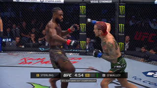 Бой UFC 292 Алджамейн Стерлинг VS Шон О'Мэлли / Полный Разбор Техники