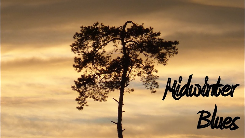 Midwinter Blues Relaxing Guitar Slow