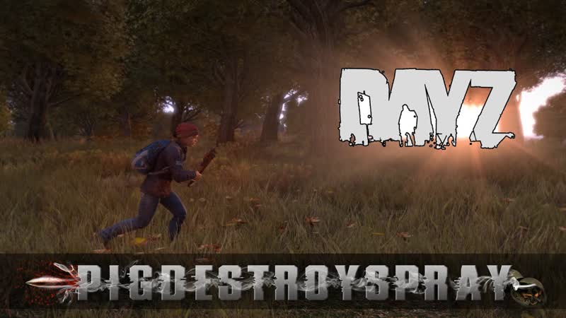 Dayz Standalone, Fun in