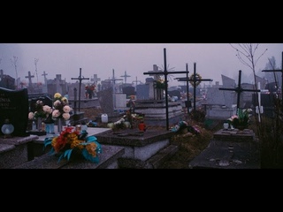 SOS !!! Чем нас травят!  + моя песня Экология...