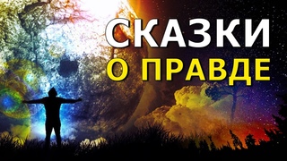 Сказки о Правде. Светлана Жарникова