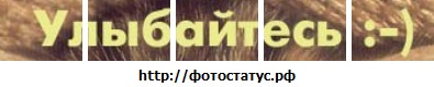 №57, Дмитрий Караповский №57, Дмитрий Караповский