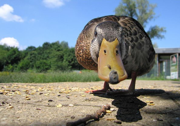 №108, Дарья Поцелуйская, 30 лет, Москва №108, Дарья Поцелуйская, 30 лет, Москва