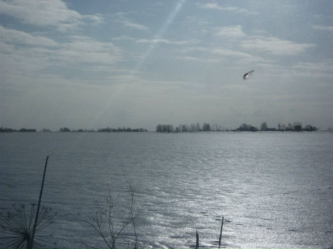 Герман Бойцов | Санкт-Петербург