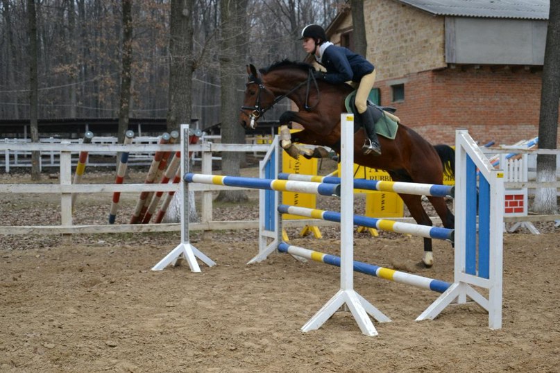 Ольга Багликова | Донецк