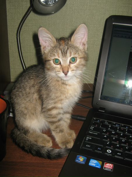 №32, Вера Сисягина, 33 года, Нижний Новгород №32, Вера Сисягина, 33 года, Нижний Новгород