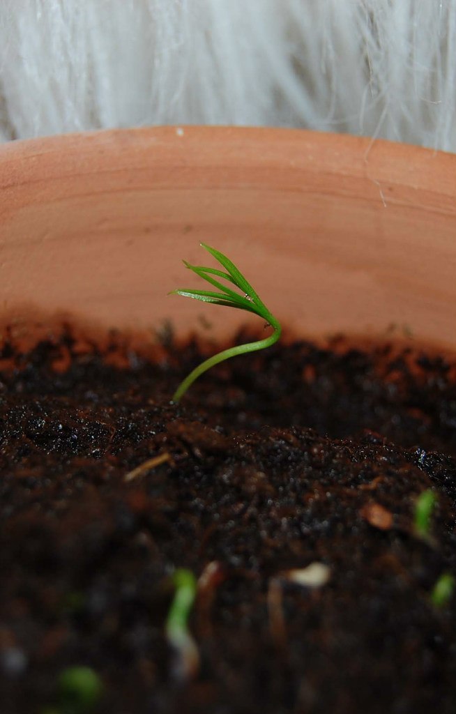 Ирина Черепанова | Екатеринбург