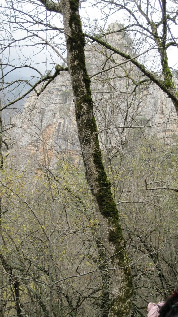 Татьяна Пономарева | Москва