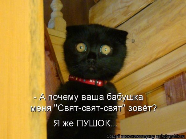 Андрей Козлов | Санкт-Петербург