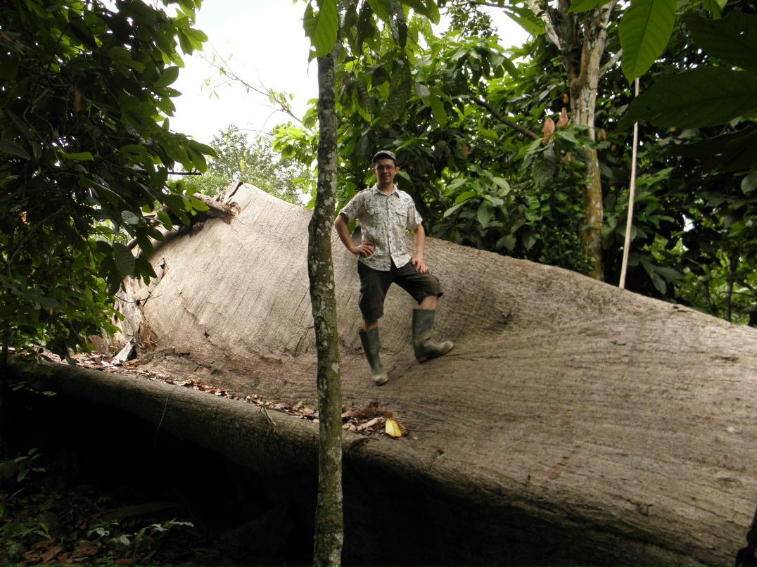 Stas Fedotov | Сосновка