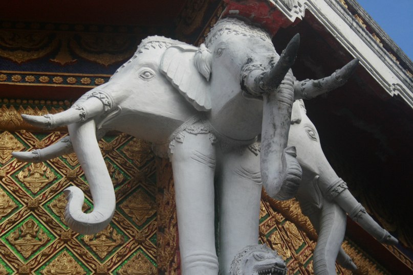 Денис Витман | Москва