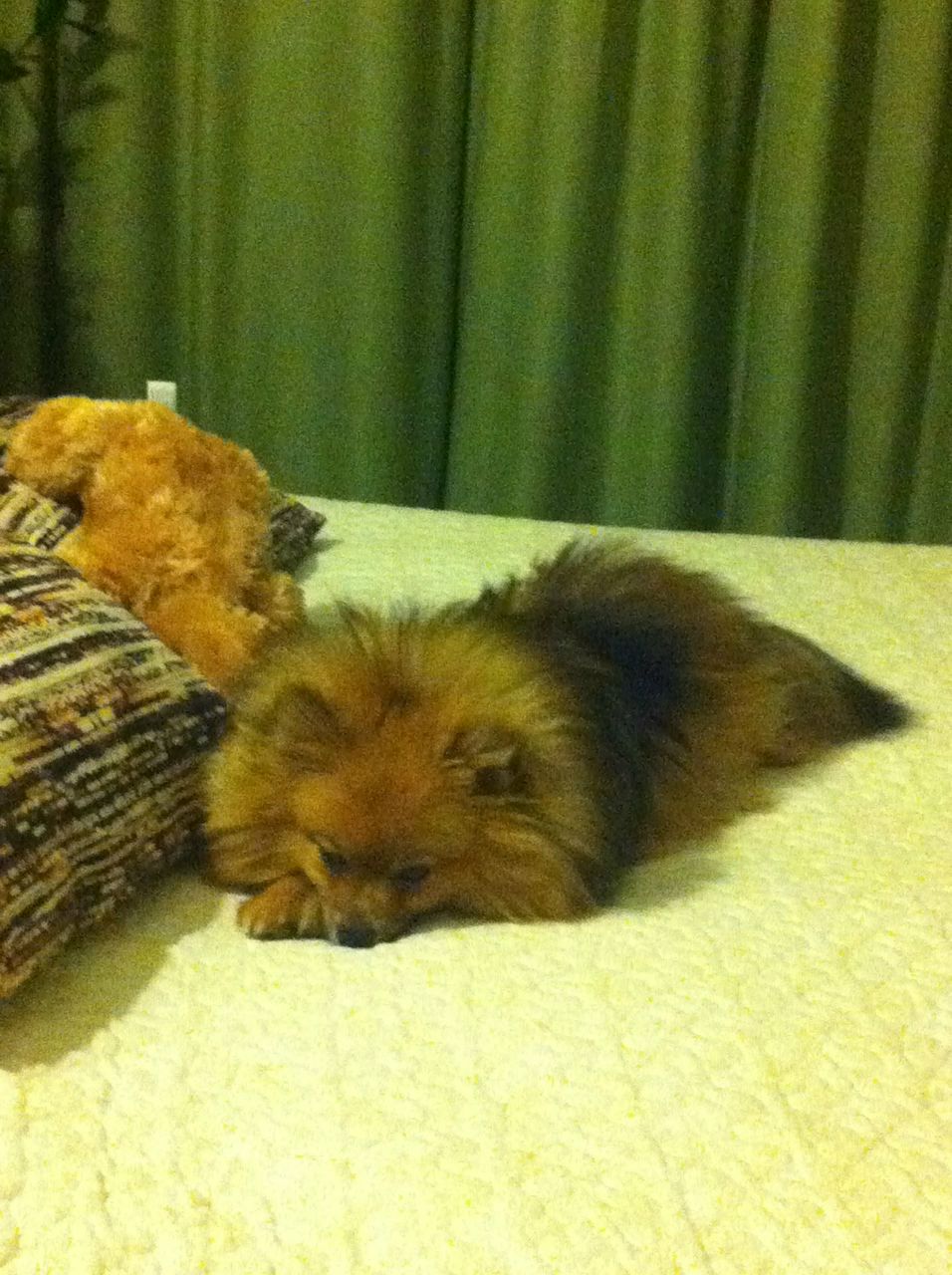 Наталия Антонинова | Москва