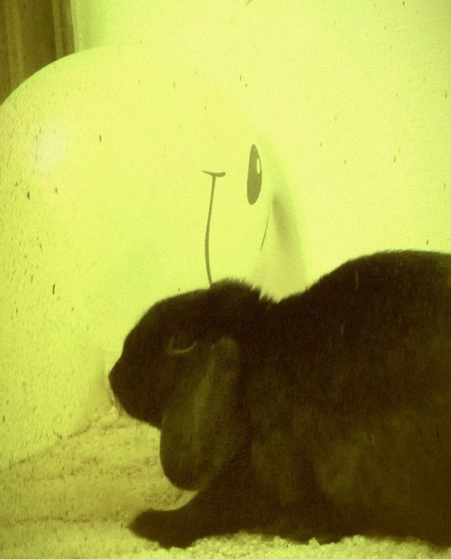 Екатерина Куз | 