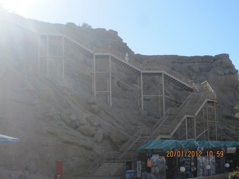 Жанна Левина | Щелково