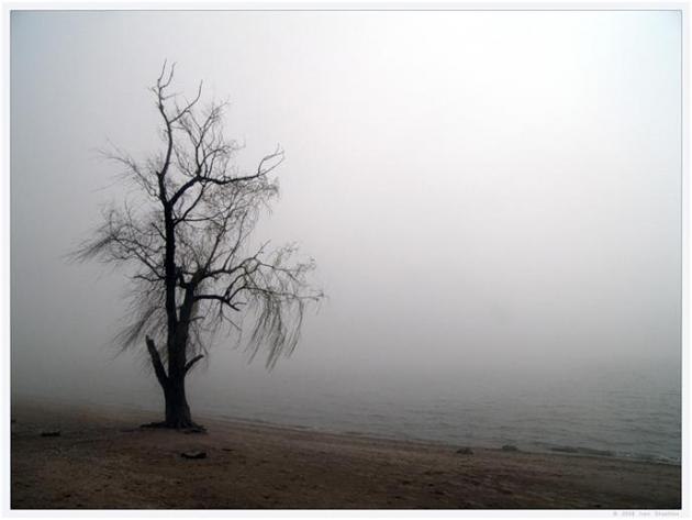 Vladimir Merkushov | Набережные Челны