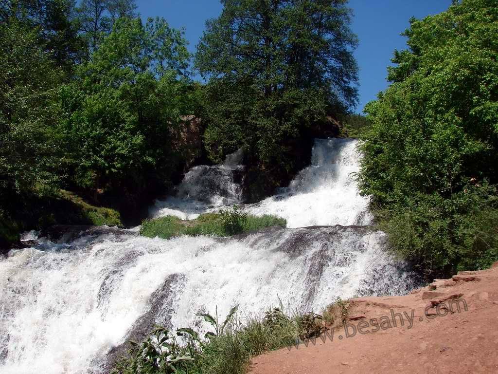 Наталія Мизинчук | Львов