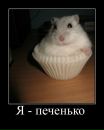 Фотография Искандер Реджепов