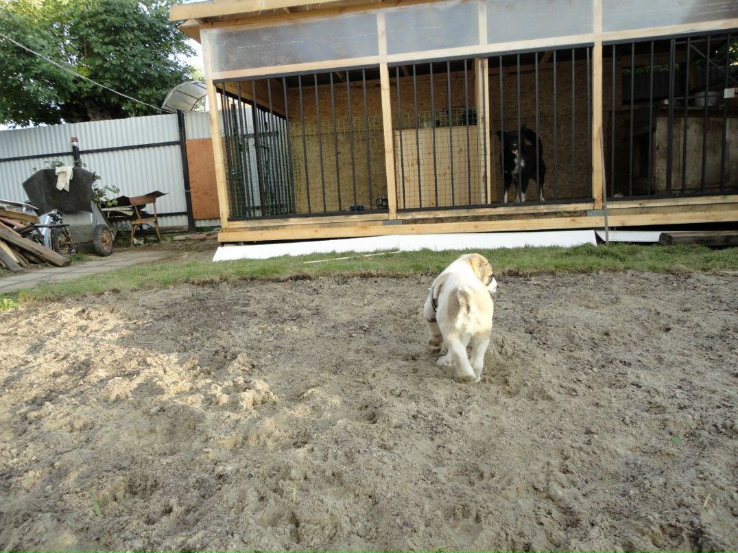 Наташа Копылова | Ногинск