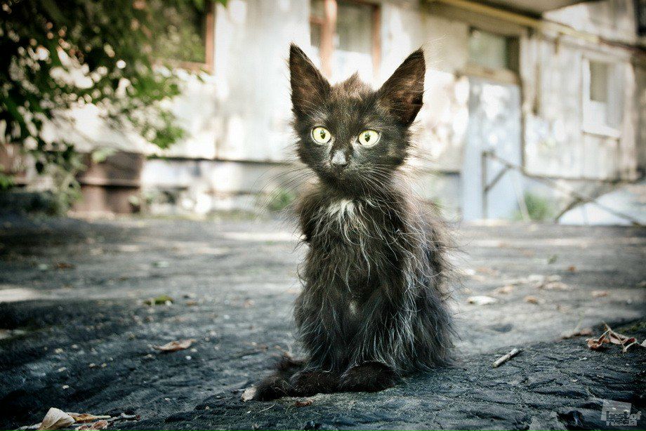 Валерия Логайская | Бобруйск