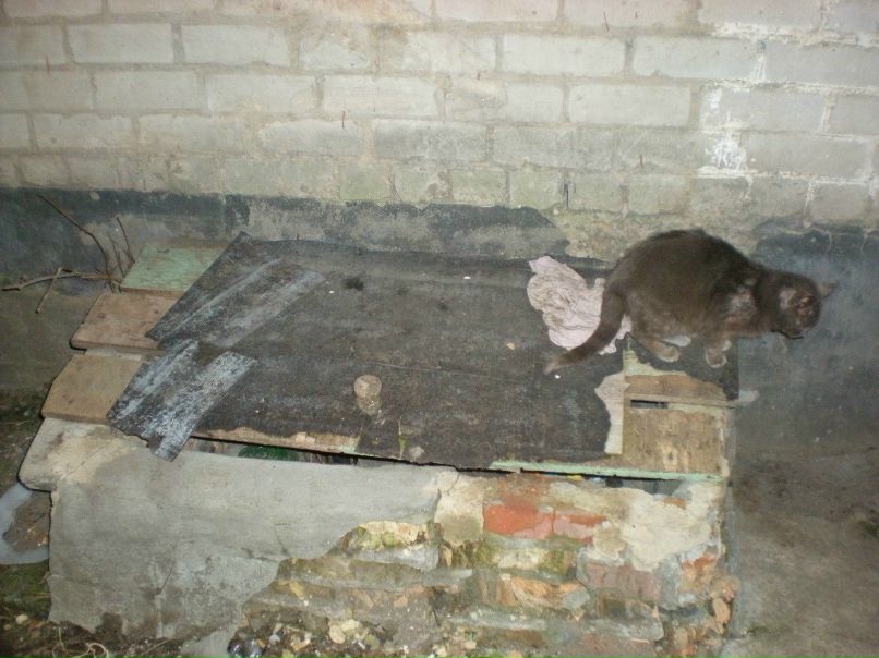 Дмитрий Петренко | Вентспилс