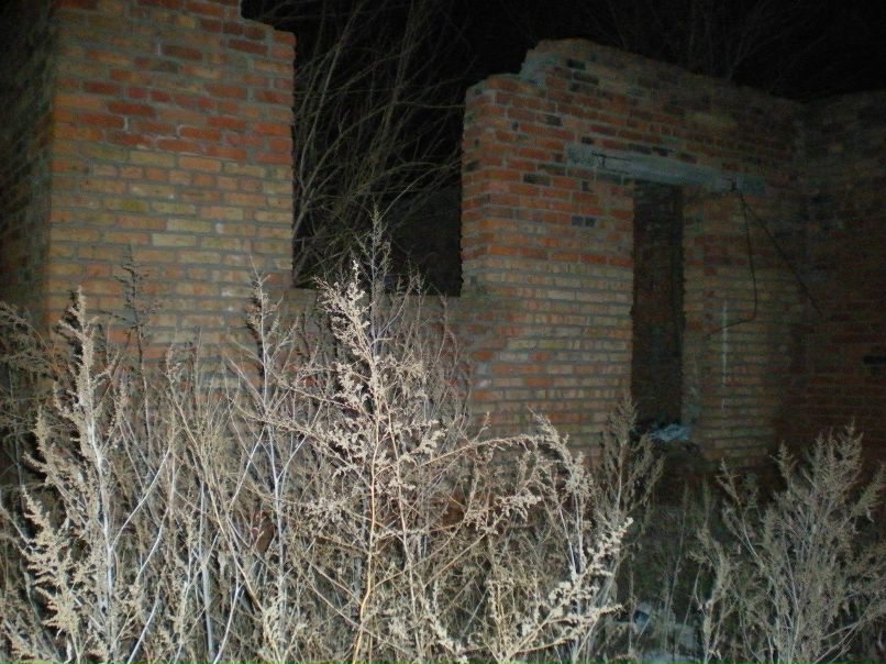 Дмитрий Петренко | Вентспилс